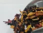 Preview: Aromatisierter Orange-Mandarine Früchtetee –  Mischung aus Hibiskusblüten, Apfel, Hagebutte, Ananas & Orangenschalen mit leuchtend rot-goldenem Aufguss und fruchtig-süßem Aroma