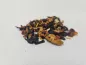Preview: Aromatisierter Orange-Mandarine Früchtetee – Mischung aus Hibiskusblüten, Apfel, Hagebutte, Ananas & Orangenschalen mit leuchtend rot-goldenem Aufguss und fruchtig-süßem Aroma