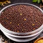 Preview: Senfkörner dunkel 100 g – Charaf Gewürze Berlin