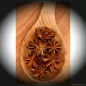 Preview: Sternanis ganz – ganze sternförmige Sternanis-Sterne mit intensiv süß-anisartigem Aroma und warmer Würze