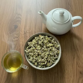 Griechischer Bergtee