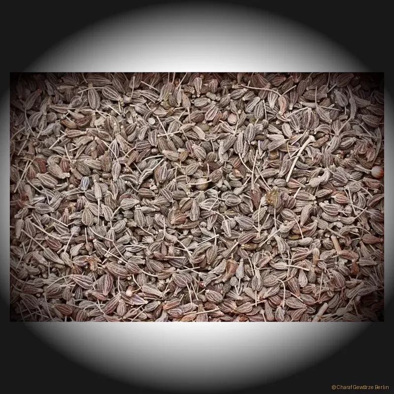 Preview: Anissamen Gewürz – ganze Anissamen Premium Qualität 100 g
