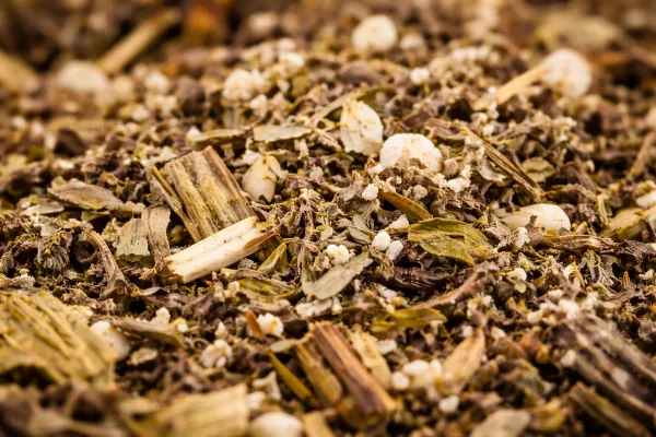 Getrocknetes Beifußkraut – aromatisches Kräutergewürz