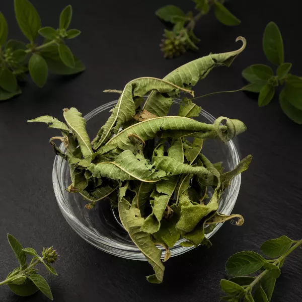 Verbena officinEisenkraut Verbene 35 g – Charaf Gewürze Berlinalis Kräuter