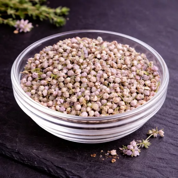 Calluna vulgaris Blüten