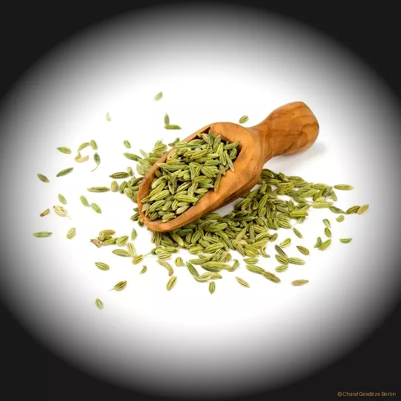 Preview: Fenchelsamen ganz – aromatische ganze Fenchelsamen in grünlich-brauner Farbe mit süß-anisartigem Aroma