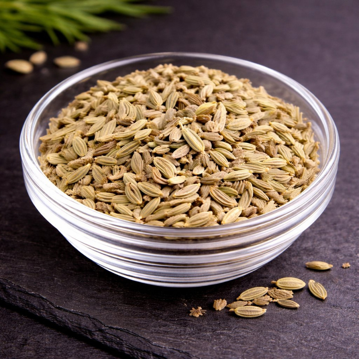 Fenchel Samen Gewürz – aromatische Fenchelsamen Premium Qualität