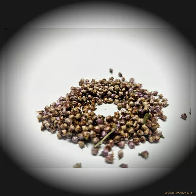 Erikablüten Heidekraut 25 g – Charaf Gewürze Berlin