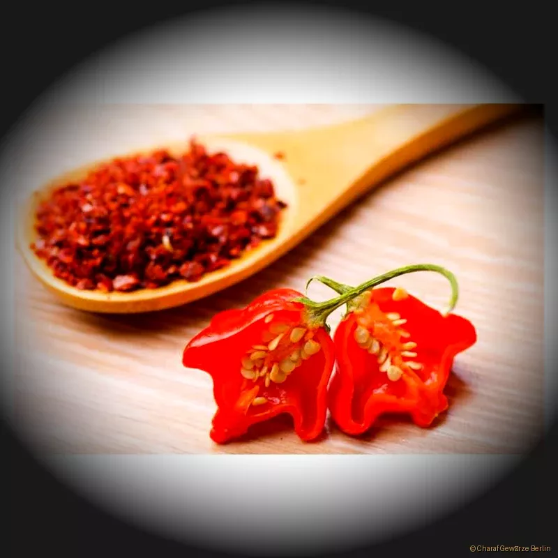 Preview: Jalapeño rot geschrotet – grobe rote Jalapeño-Chili Flocken mit rauchig-fruchtigem Aroma und milder Schärfe