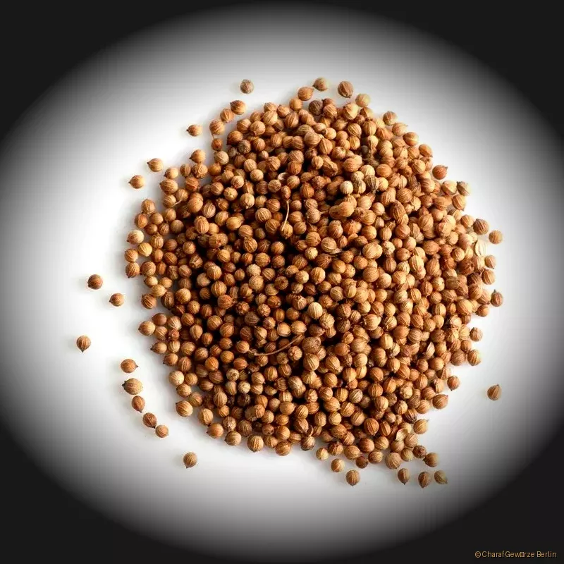 Preview: Koriander ganz oder gemahlen – runde Koriandersamen und feines Pulver mit frischem, zitrusartig-nussigem Aroma