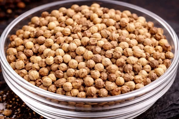 Koriander PulKoriandersamen Gewürz – aromatische Koriander Samenver – gemahlenes Gewürz Premium Qualität
