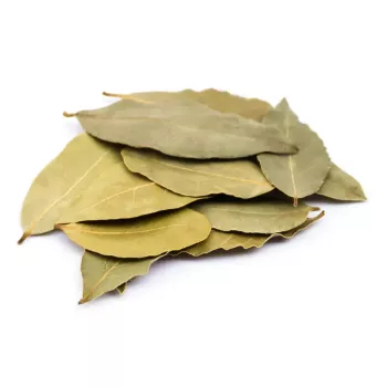 Lorbeer,Lorbeer Blätter