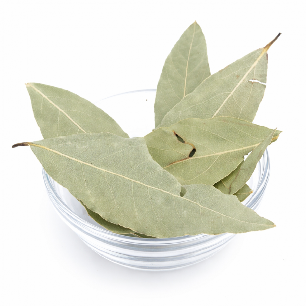 Lorbeerblätter ganz 10 g – Charaf Gewürze Berlin