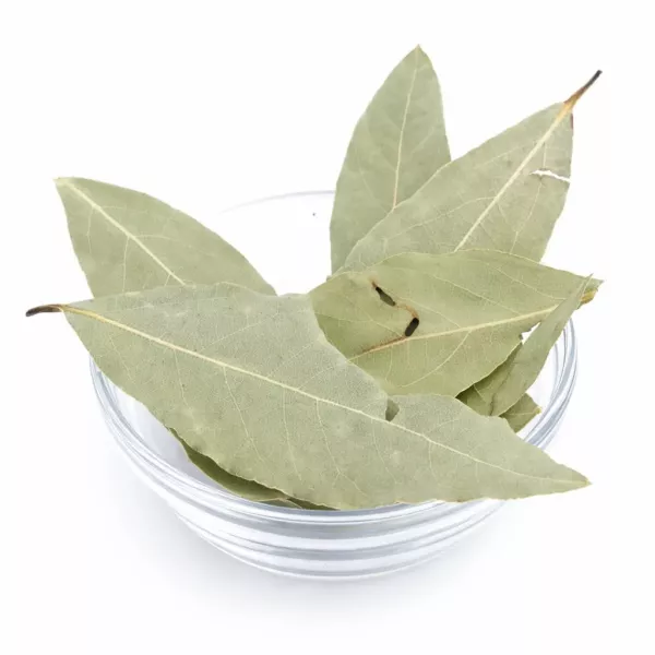 Lorbeerblätter ganz 10 g – Charaf Gewürze Berlin