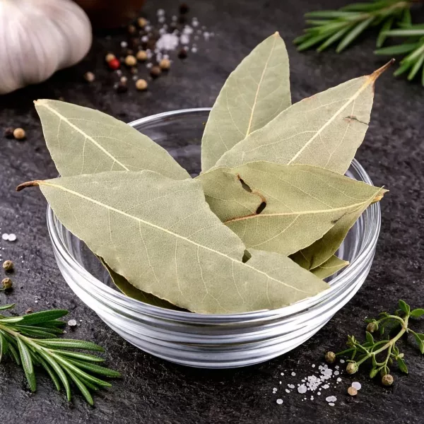 Getrocknete Lorbeerblätter – aromatisches Kräutergewürz