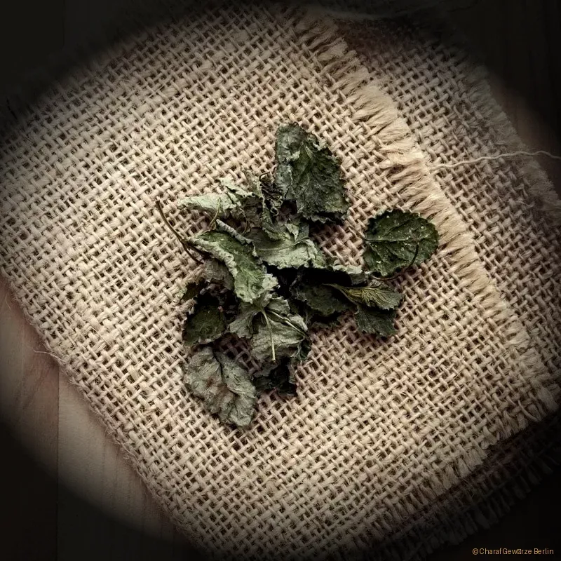 Preview: Getrocknete Melissenblätter