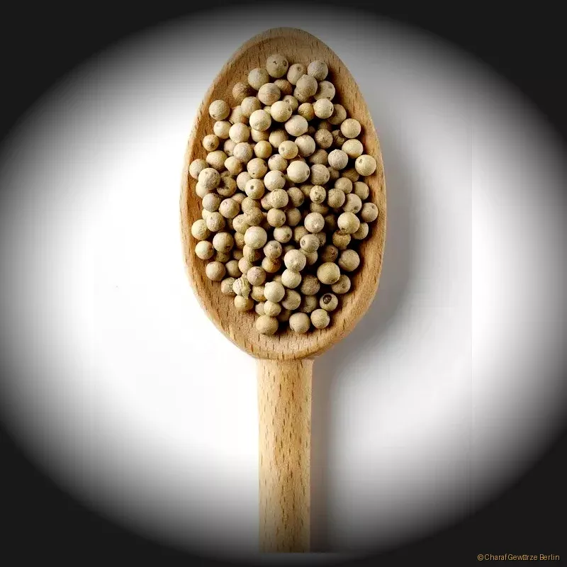 Pfeffer weiß ganz oder gemahlen – weiße Pfefferkörner und feines Pulver mit mildem, nussig-erdigem Aroma
