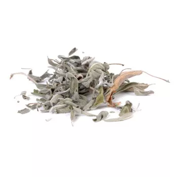 Preview: Salbeitee,Tee,Salbei