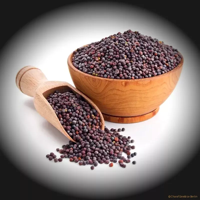 Senfkörner dunkel – kleine, tiefbraune bis schwarzbraune Senfsamen mit kräftig-würzigem Aroma und intensiver Schärfe