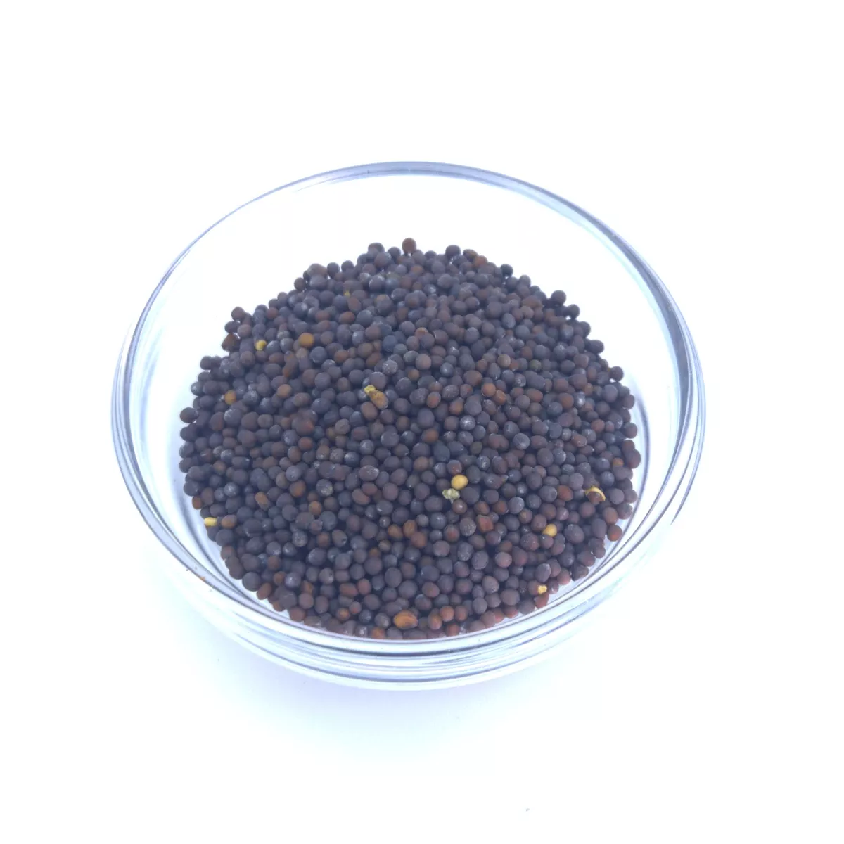 Preview: Senfkörner Gewürz Premium Qualität