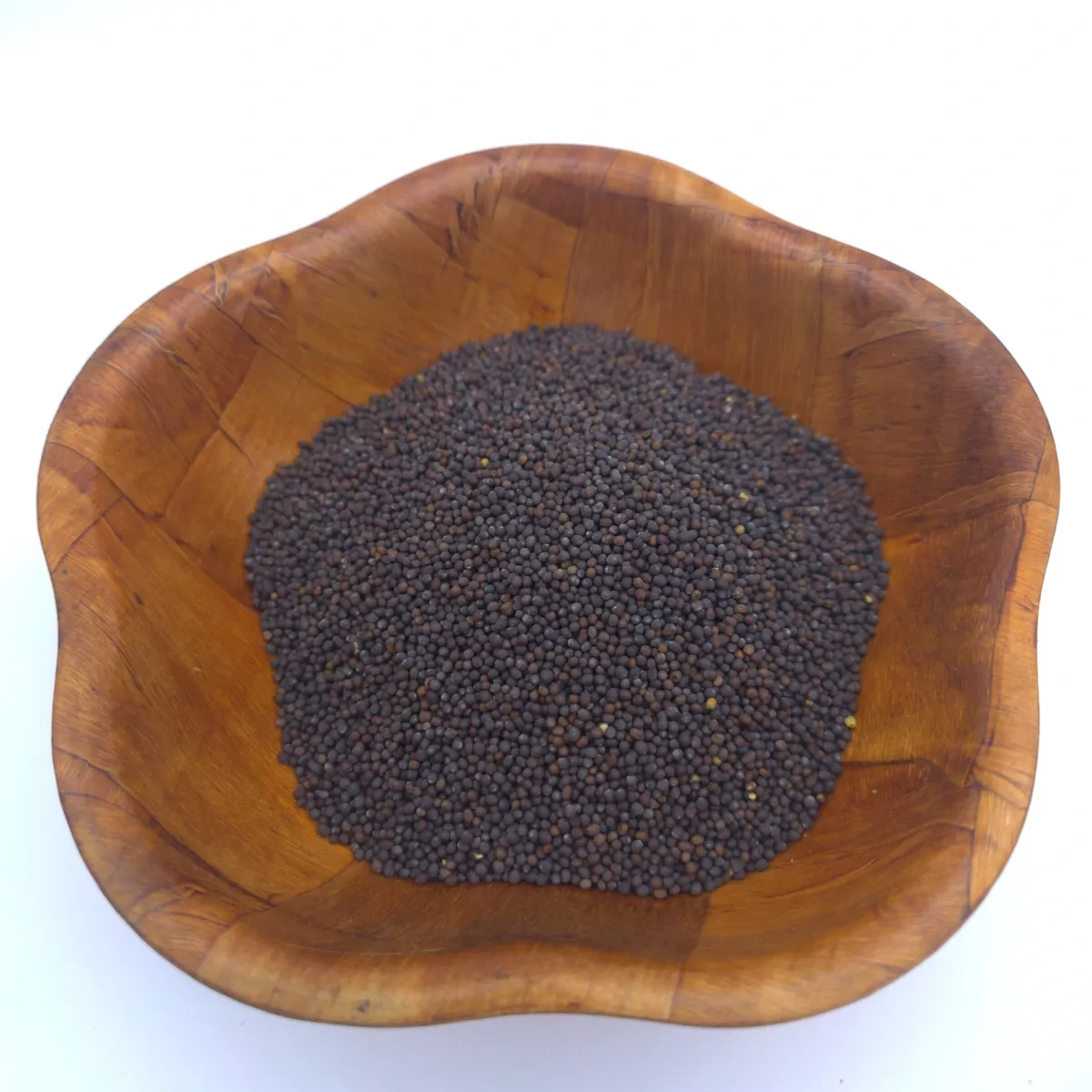 Senfkörner dunkel 100 g – Charaf Gewürze Berlin