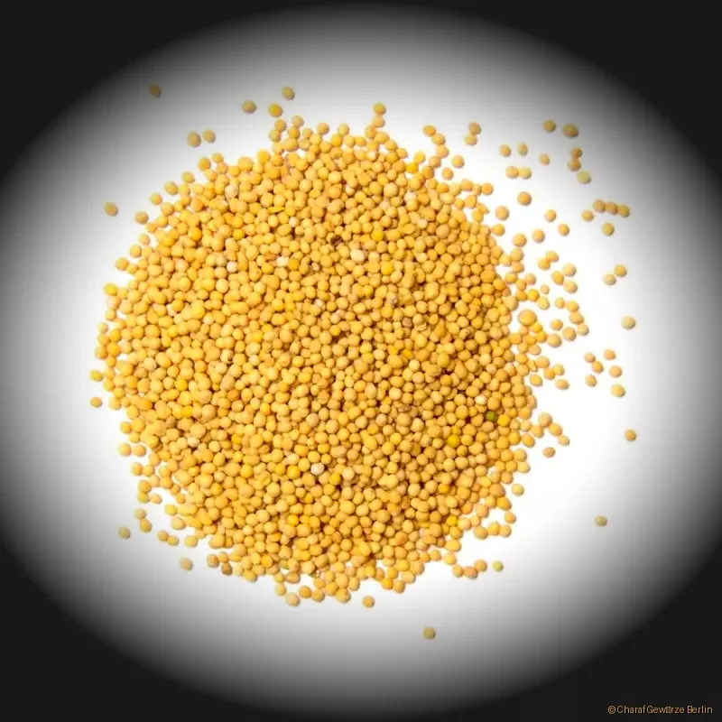 Preview: Senfkörner hell – kleine, cremig-gelbe Senfsamen mit mildem, nussig-würzigem Aroma und sanfter Schärfe