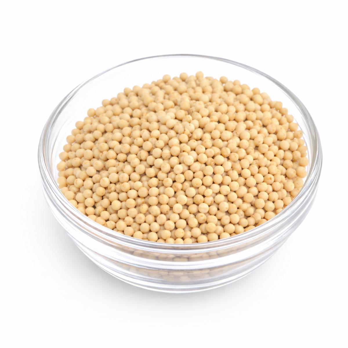 Senfkörner hell 100 g – Charaf Gewürze Berlin