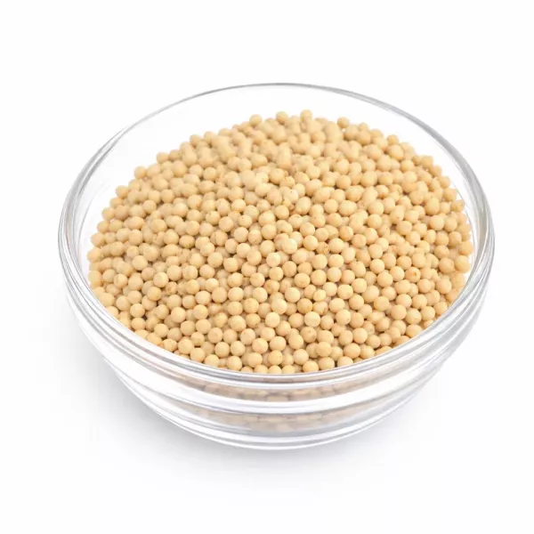 Senfkörner hell 100 g – Charaf Gewürze Berlin