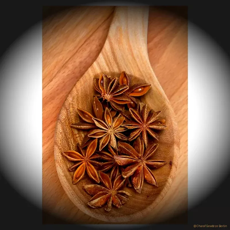 Sternanis ganz – ganze sternförmige Sternanis-Sterne mit intensiv süß-anisartigem Aroma und warmer Würze