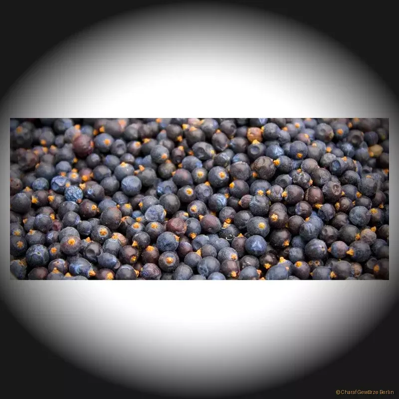 Wacholderbeeren ganz – dunkelviolette, getrocknete Wacholderbeeren mit intensiv harzigem Waldaroma