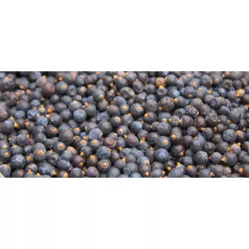 Wacholder,Wacholderbeeren