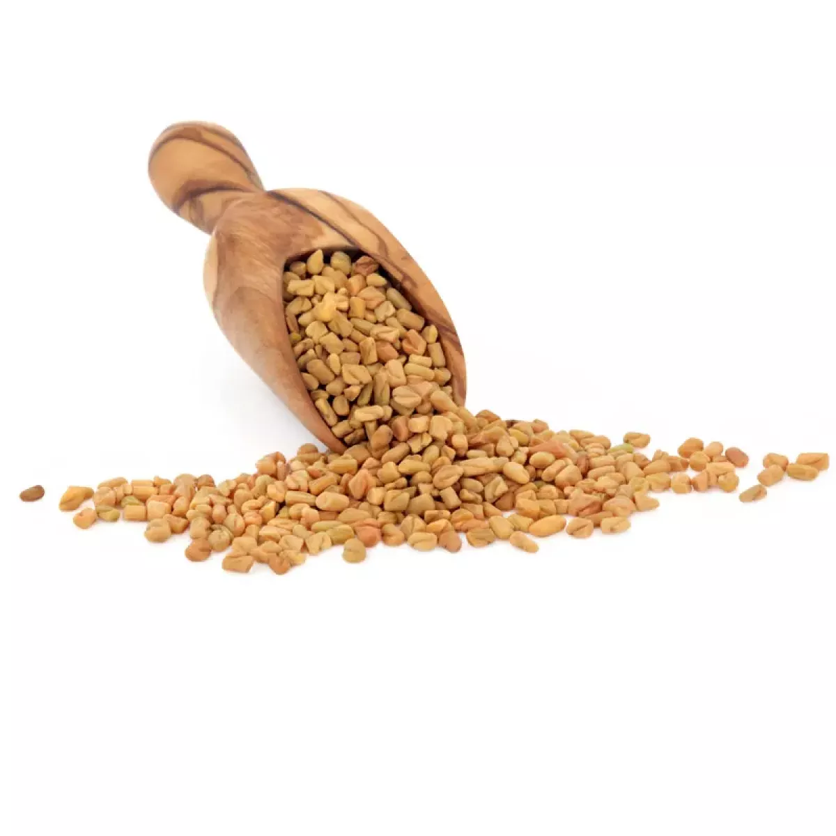 Bockshornklee ganz,Bockshornklee gemahlen