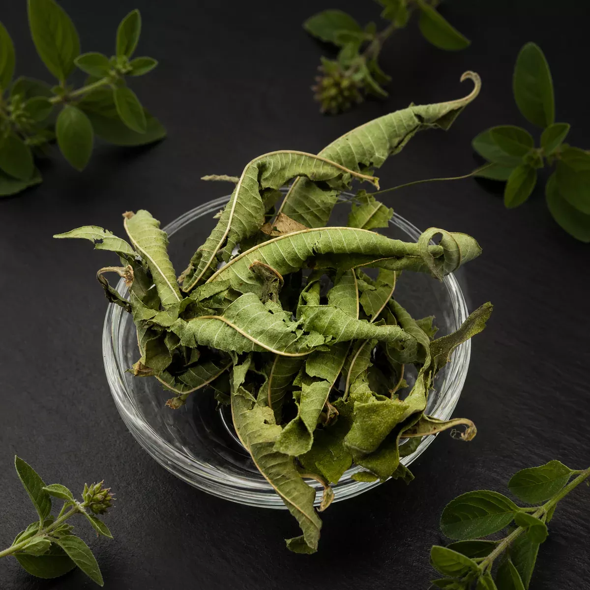 Verbena officinEisenkraut Verbene 35 g – Charaf Gewürze Berlinalis Kräuter
