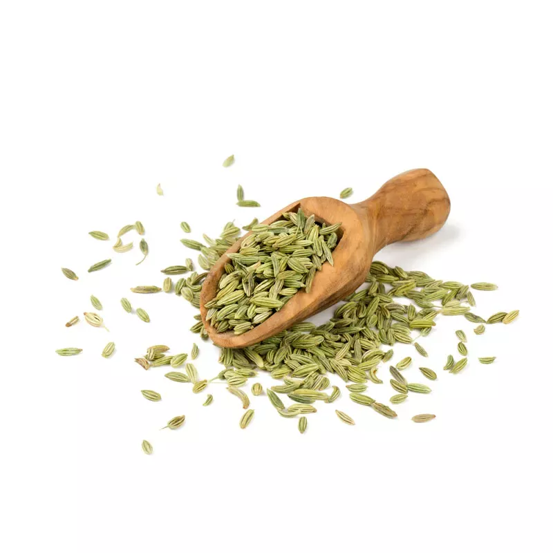 Fenchelsamen,Fenchel ganz,Fenchel