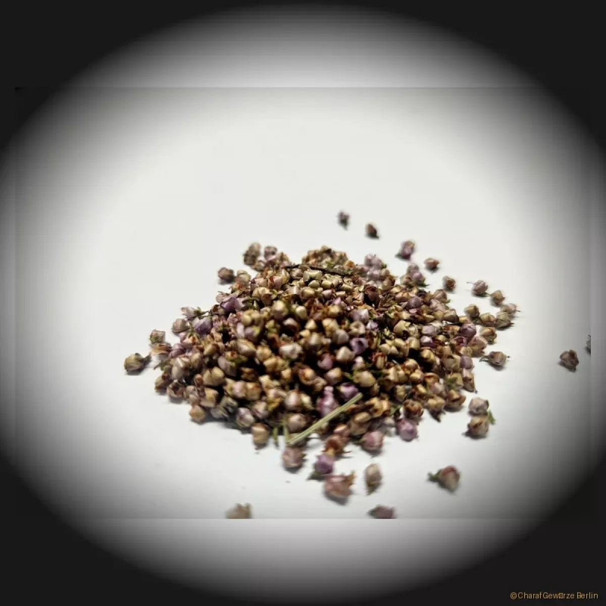 Calluna vulgaris Blüten