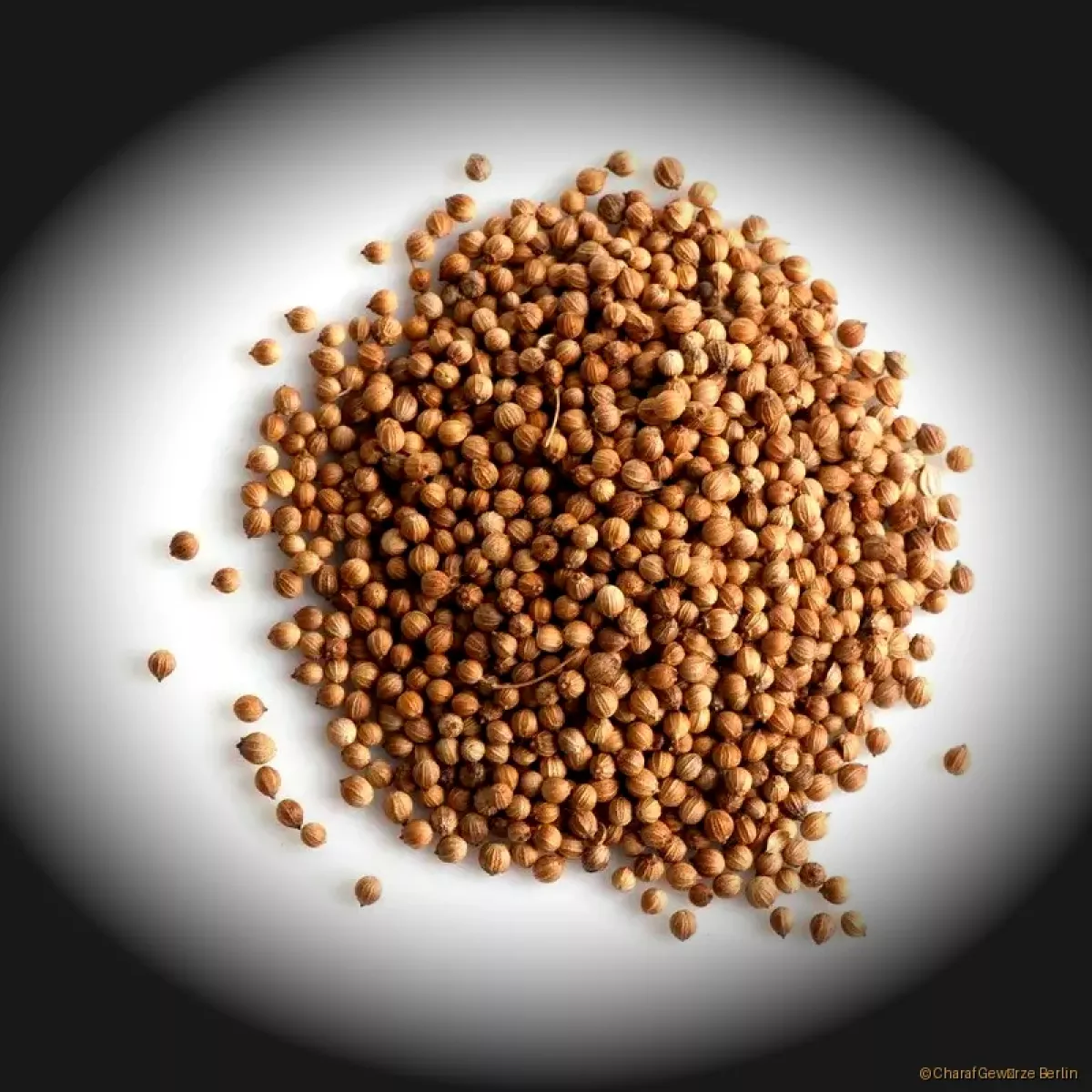 Koriandersamen Gewürz – aromatische Koriander Samen