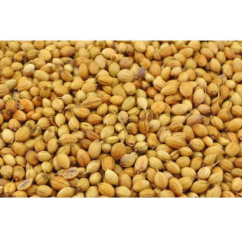 Koriander,Coriander,