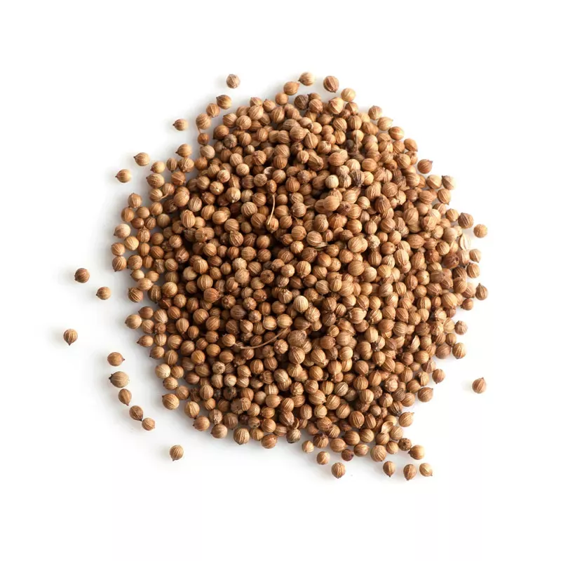 Koriander,Coriander,