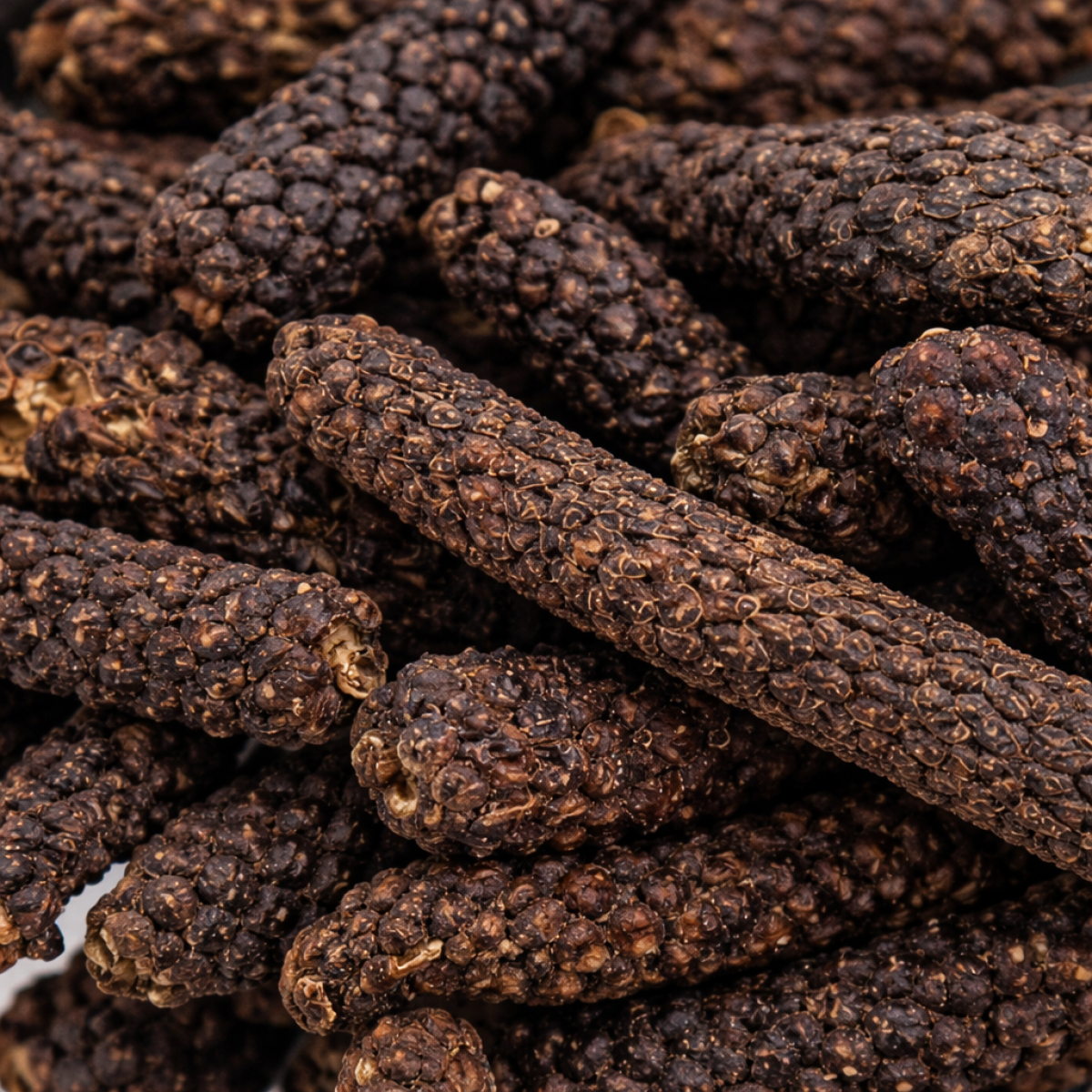 Langer Pfeffer Premium Qualität – Charaf Gewürze Berlin