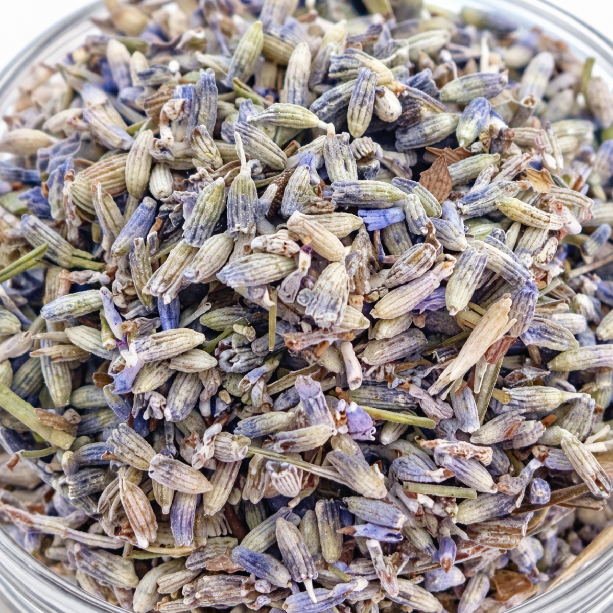 Lavendelblüten 50 g – Charaf Gewürze Berlin