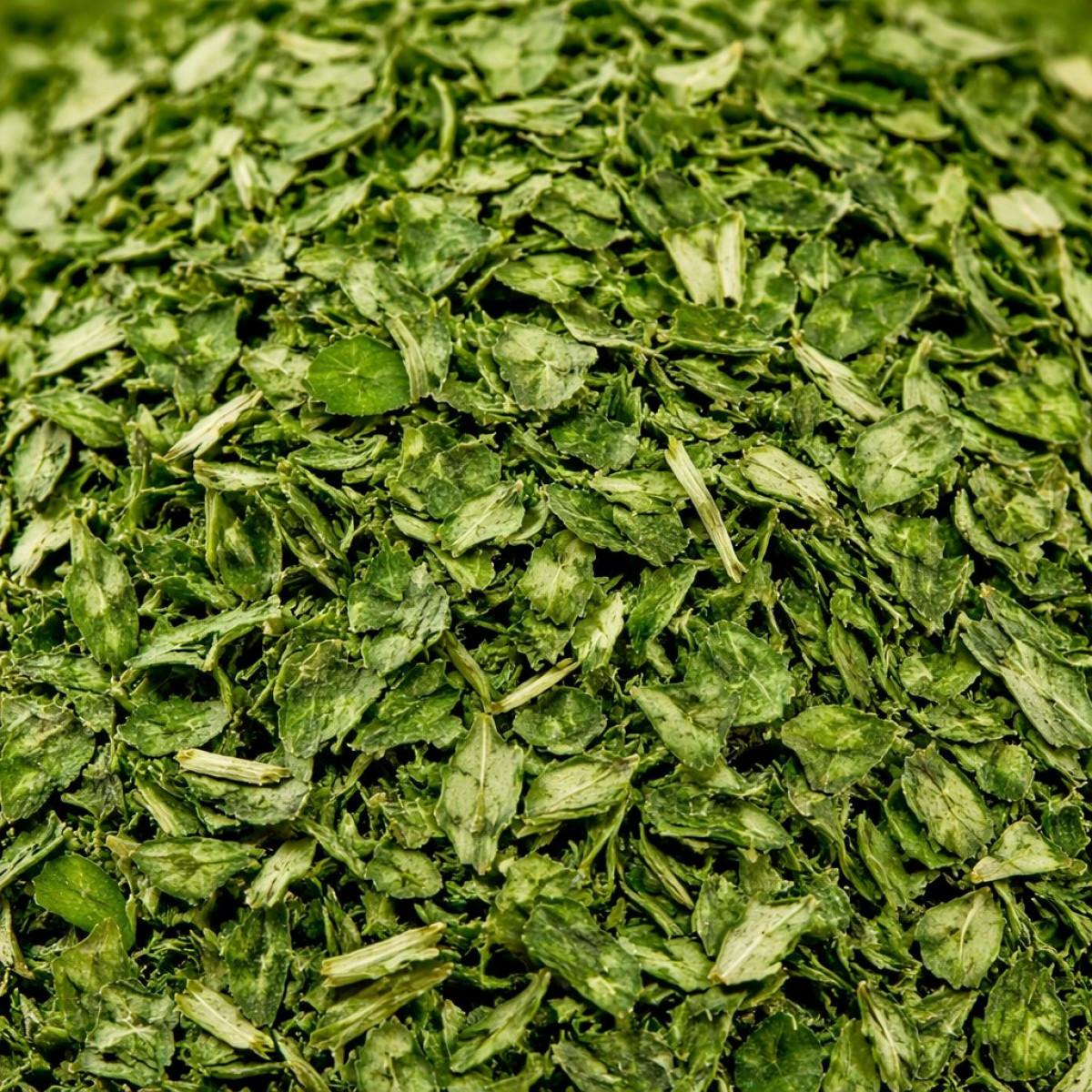 Liebstöckel gerebelt 25 g – Charaf Gewürze Berlin