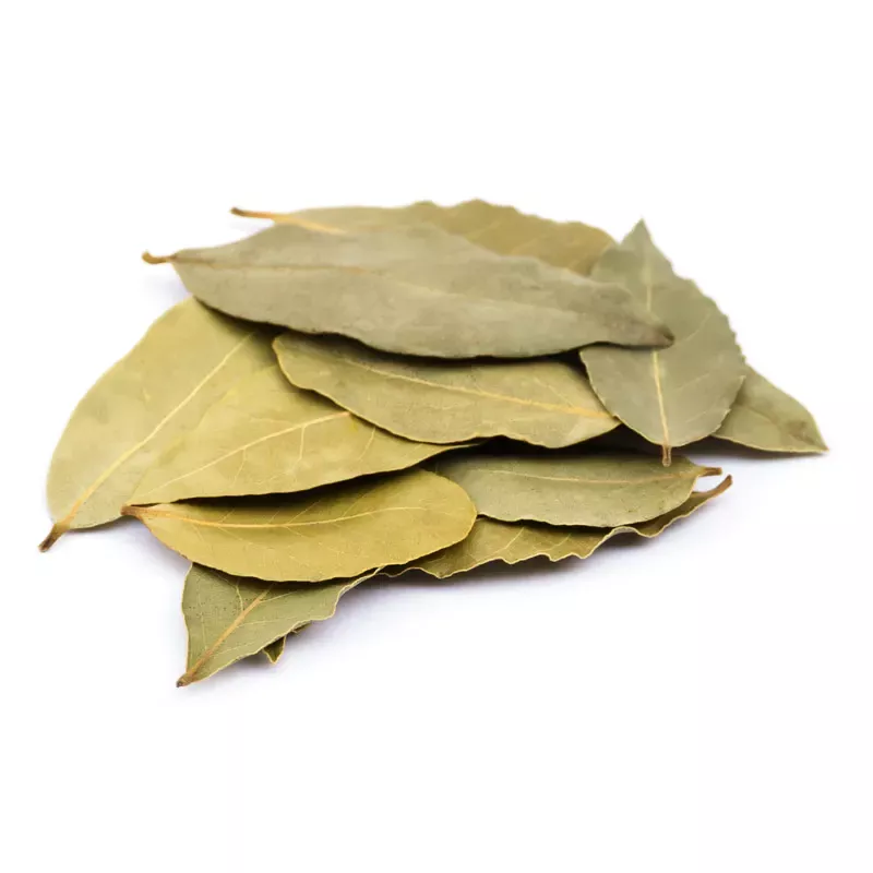 Lorbeer,Lorbeer Blätter