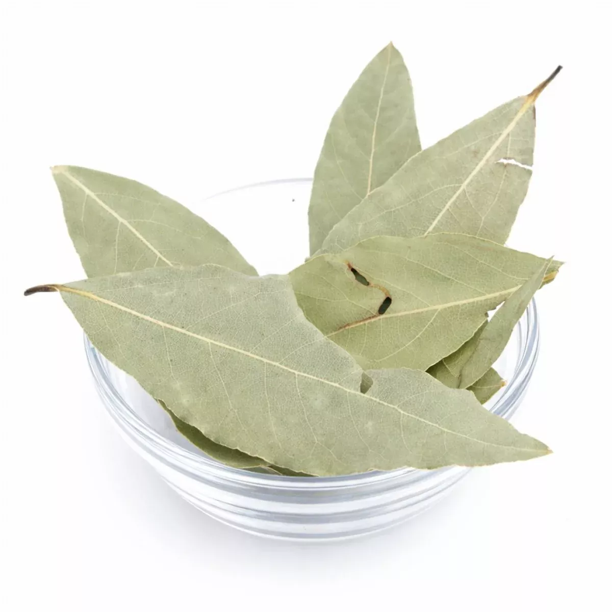 Lorbeerblätter ganz 10 g – Charaf Gewürze Berlin