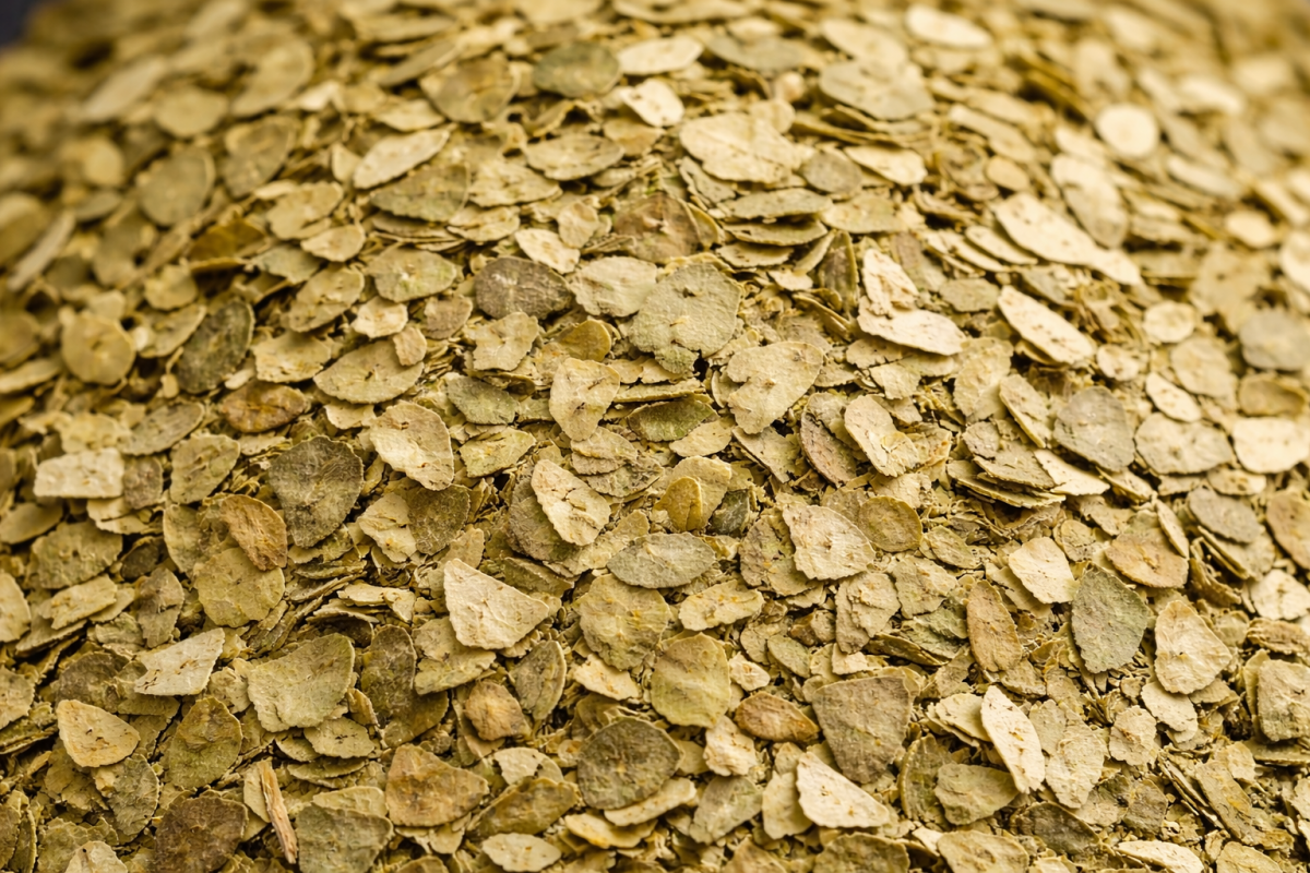 Matetee grün 100 g – Charaf Gewürze Berlin