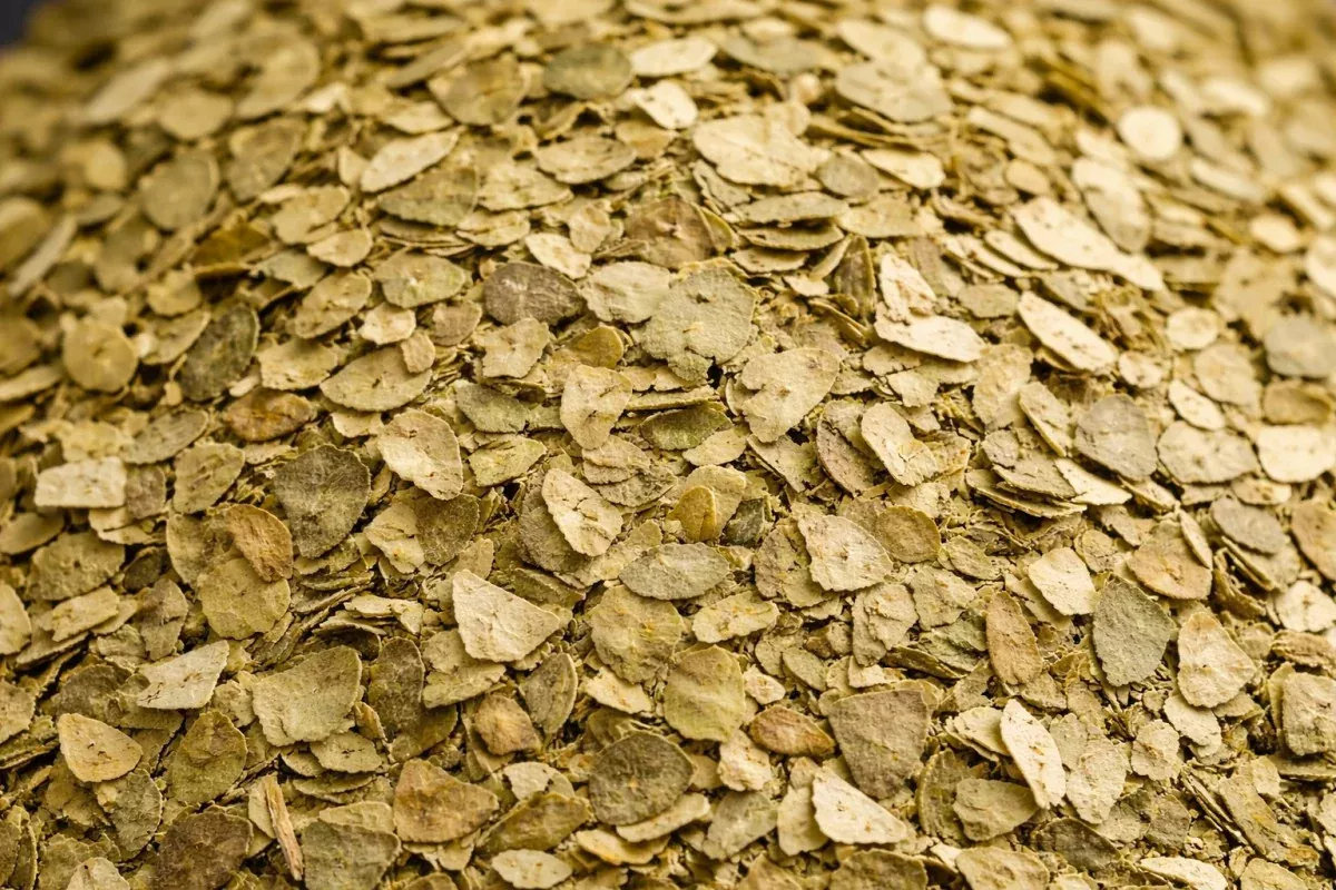 Matetee grün 100 g – Charaf Gewürze Berlin