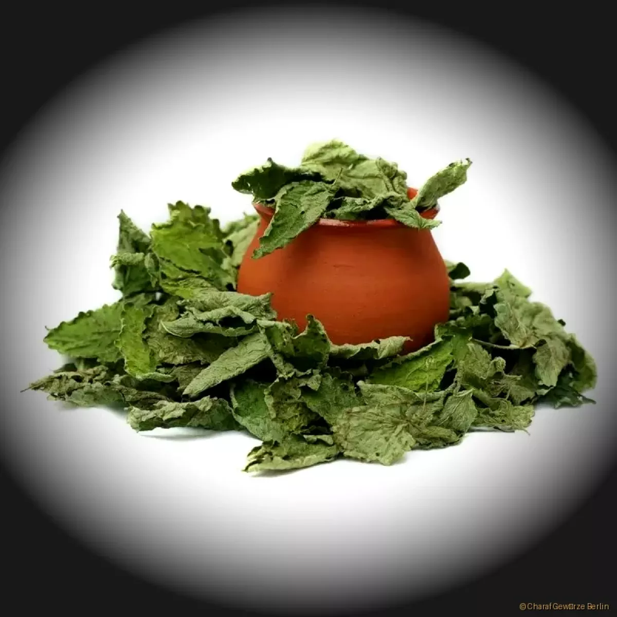 Melissenblätter – hellgrüne, getrocknete Zitronenmelissenblätter mit frisch-zitronigem Aroma und beruhigenden Eigenschaften