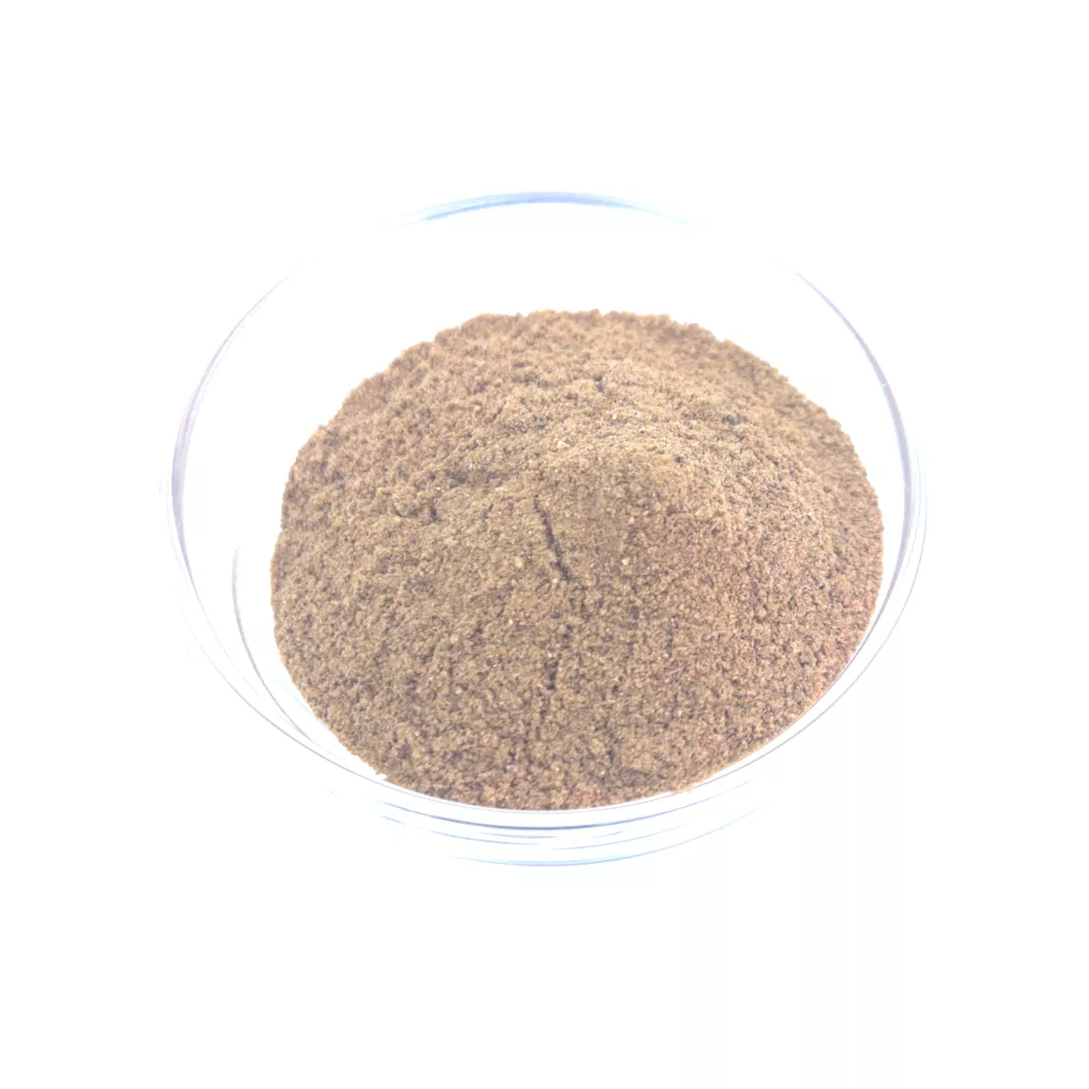 Muskat Pulver Gewürz – aromatische Muskatnuss