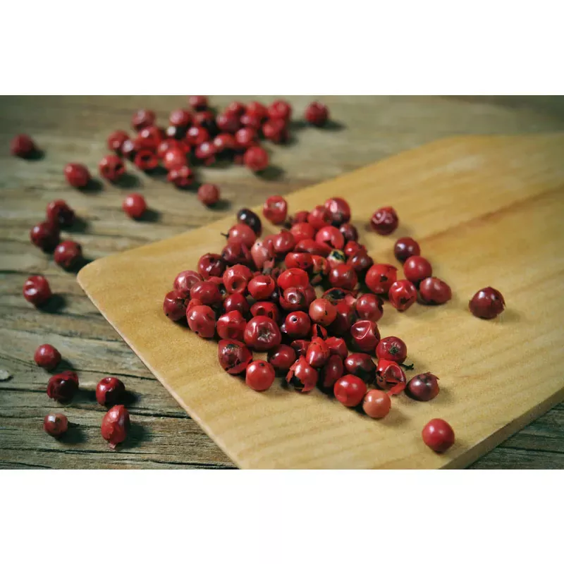 Pfeffer,Pfeffer rosa,