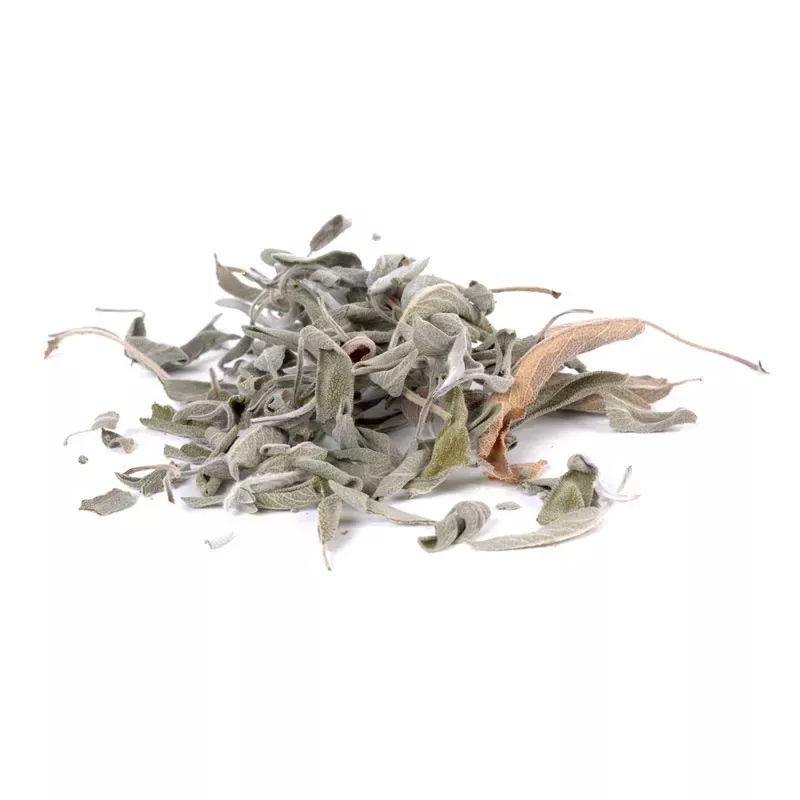 Salbeitee,Tee,Salbei