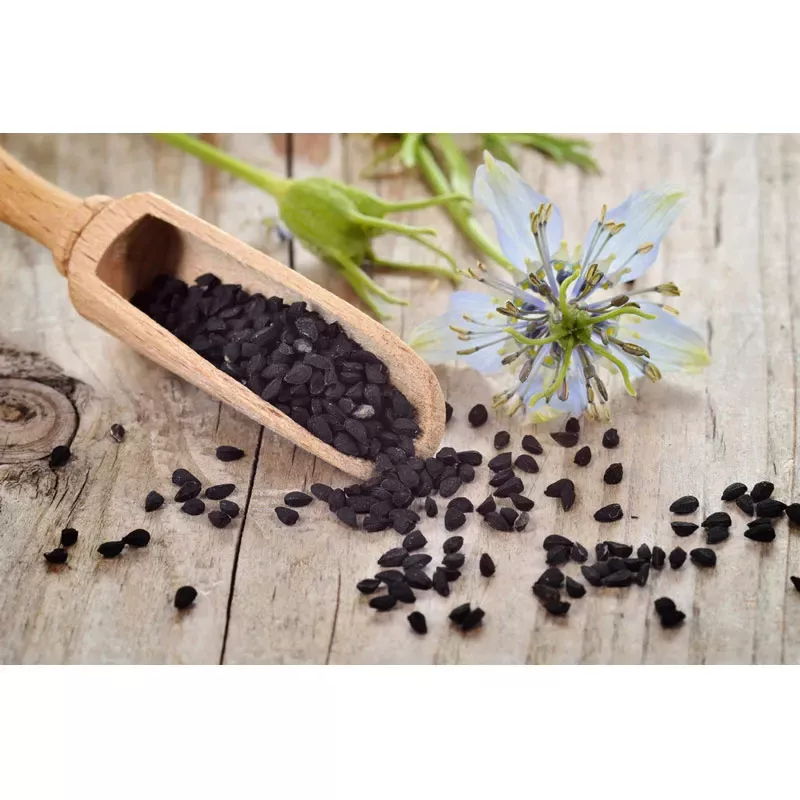 Schwarzkümmel,Nigella